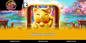 Cánh cửa tài lộc mở ra cùng Nổ Hũ Mèo Chiêu Tài 2026